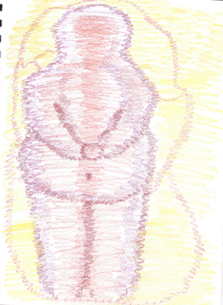 This is a watercolour pencil drawing of a fat body. The backgound is yellow, the fat body is shades of purple.